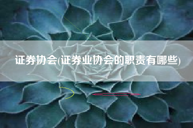 证券协会(证券业协会的职责有哪些)