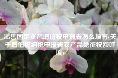出售固定资产增值税申报表怎么填写(关于增值税纳税申报表农产品免征税额咋填)