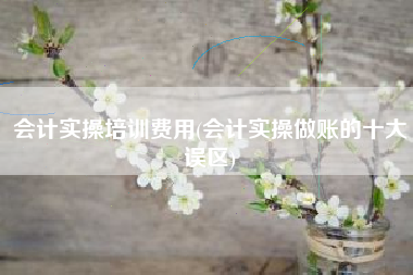 会计实操培训费用(会计实操做账的十大误区)