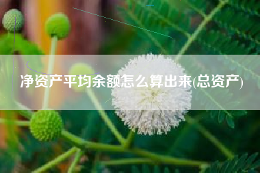 净资产平均余额怎么算出来(总资产)