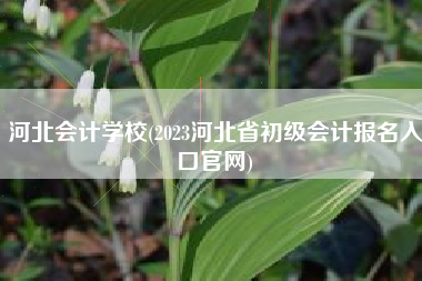 河北会计学校(2023河北省初级会计报名入口官网)
