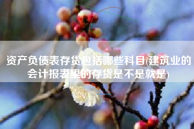 资产负债表存货包括哪些科目(建筑业的会计报表里的存货是不是就是)