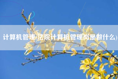 计算机管理(法院计算机管理岗是做什么)