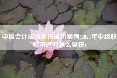 中级会计成绩复核成功案例(2021年中级职称未过的怎么复核)