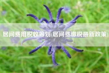 居间费用税收筹划(居间费缴税最新政策)