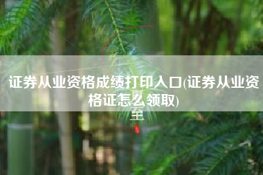 证券从业资格成绩打印入口(证券从业资格证怎么领取)