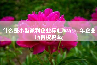 什么是小型微利企业标准2022(2022年企业所得税税率)