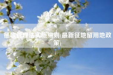 征收管理法实施细则(最新征地留用地政策)