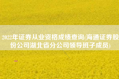 2022年证券从业资格成绩查询(海通证券股份公司湖北省分公司领导班子成员)