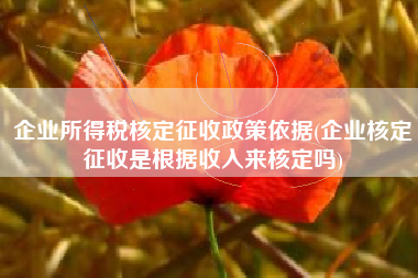 企业所得税核定征收政策依据(企业核定征收是根据收入来核定吗)