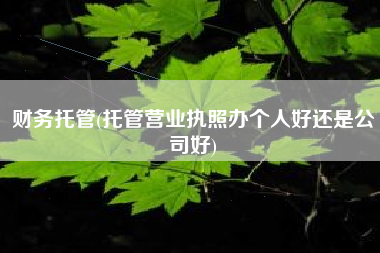 财务托管(托管营业执照办个人好还是公司好)