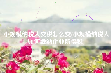 小规模纳税人交税怎么交(小规模纳税人如何缴纳企业所得税)