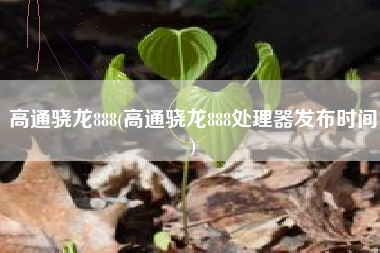 详细阅读:高通骁龙888(高通骁龙888处理器发布时间) 高通骁龙888(高通骁龙888处理器发布时间)