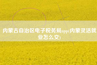 详细阅读:内蒙古自治区电子税务局app(内蒙灵活就业怎么交) 内蒙古自治区电子税务局app(内蒙灵活就业怎么交)