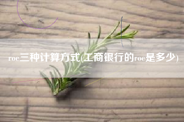 roe三种计算方式(工商银行的roe是多少)