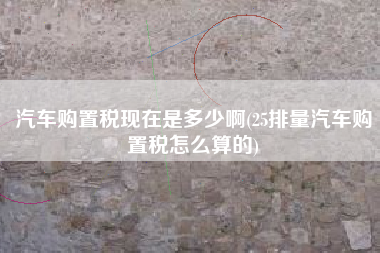 汽车购置税现在是多少啊(25排量汽车购置税怎么算的)