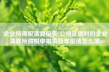 企业所得税清算报表(公司注销时的企业清算所得税申报表及年报该怎么填)