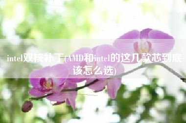 intel双核补丁(AMD和intel的这几款芯到底该怎么选)