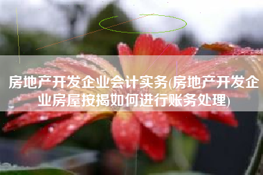 详细阅读:房地产开发企业会计实务(房地产开发企业房屋按揭如何进行账务处理) 房地产开发企业会计实务(房地产开发企业房屋按揭如何进行账务处理)