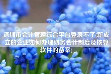 详细阅读:深圳市会计管理综合平台登录不了(新成立的企业如何办理财务会计制度及核算软件的备案) 深圳市会计管理综合平台登录不了(新成立的企业如何办理财务会计制度及核算软件的备案)