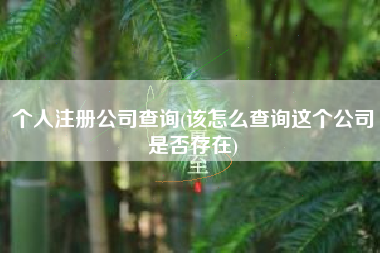 个人注册公司查询(该怎么查询这个公司是否存在)