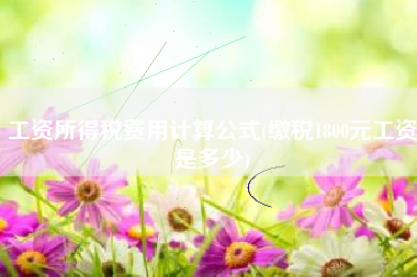 工资所得税费用计算公式(缴税1800元工资是多少)