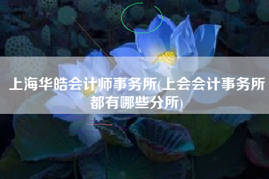 上海华皓会计师事务所(上会会计事务所都有哪些分所)
