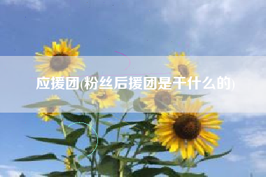 应援团(粉丝后援团是干什么的)