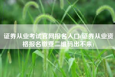 证券从业考试官网报名入口(证券从业资格报名缴费二维码出不来)
