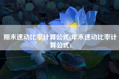 期末速动比率计算公式(年末速动比率计算公式)
