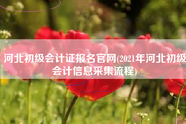 河北初级会计证报名官网(2021年河北初级会计信息采集流程)