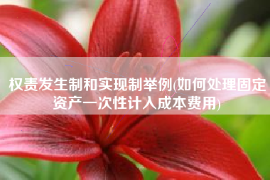 权责发生制和实现制举例(如何处理固定资产一次性计入成本费用)