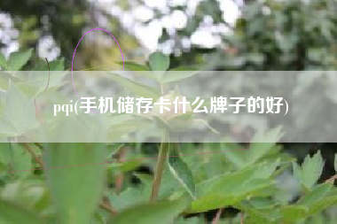 pqi(手机储存卡什么牌子的好)