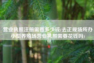营业执照注册需要多少钱(去正规场所办小型养殖场营业执照需要花钱吗)