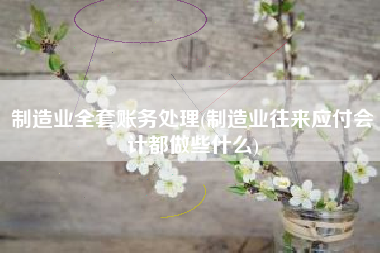 制造业全套账务处理(制造业往来应付会计都做些什么)