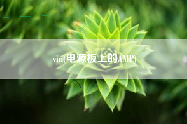 vin(电源板上的AMP)