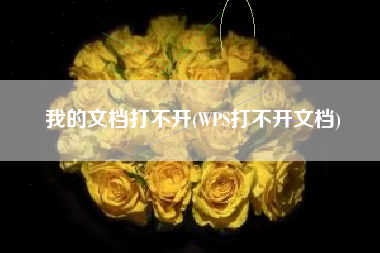 我的文档打不开(WPS打不开文档)