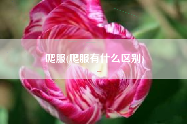 爬服(爬服有什么区别)