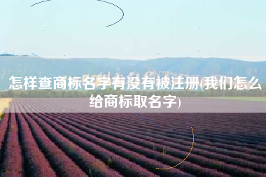 详细阅读:怎样查商标名字有没有被注册(我们怎么给商标取名字) 怎样查商标名字有没有被注册(我们怎么给商标取名字)