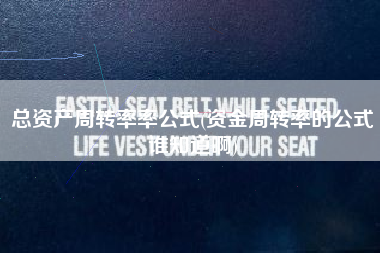 总资产周转率率公式(资金周转率的公式谁知道啊)