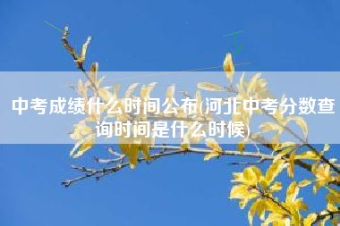 中考成绩什么时间公布(河北中考分数查询时间是什么时候)