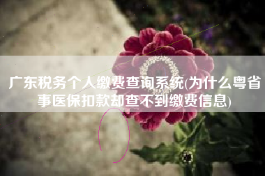 广东税务个人缴费查询系统(为什么粤省事医保扣款却查不到缴费信息)