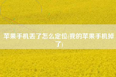 苹果手机丢了怎么定位(我的苹果手机掉了)