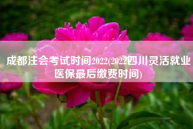 详细阅读:成都注会考试时间2022(2022四川灵活就业医保最后缴费时间) 成都注会考试时间2022(2022四川灵活就业医保最后缴费时间)