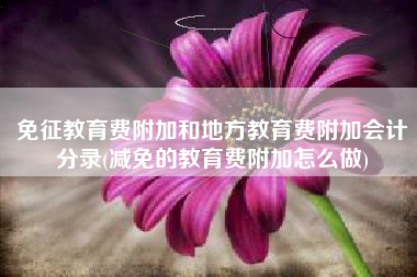 详细阅读:免征教育费附加和地方教育费附加会计分录(减免的教育费附加怎么做) 免征教育费附加和地方教育费附加会计分录(减免的教育费附加怎么做)