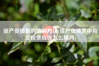 资产负债表的填制方法(资产负债表中应交税费应该怎么填列)