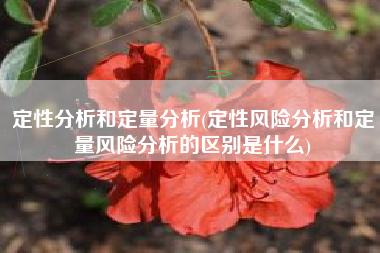 定性分析和定量分析(定性风险分析和定量风险分析的区别是什么)