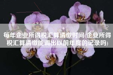 每年企业所得税汇算清缴时间(企业所得税汇算清缴能调出以前年度的记录吗)