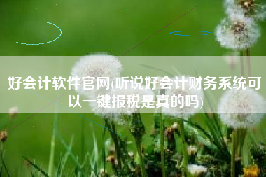 好会计软件官网(听说好会计财务系统可以一键报税是真的吗)