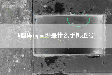 h图库(ppaal20是什么手机型号)